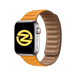 Rrip për Аpple Watch Magnetic Loop 42/44/45/49MM , California